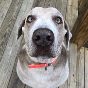 Meet your Posher, Jacob